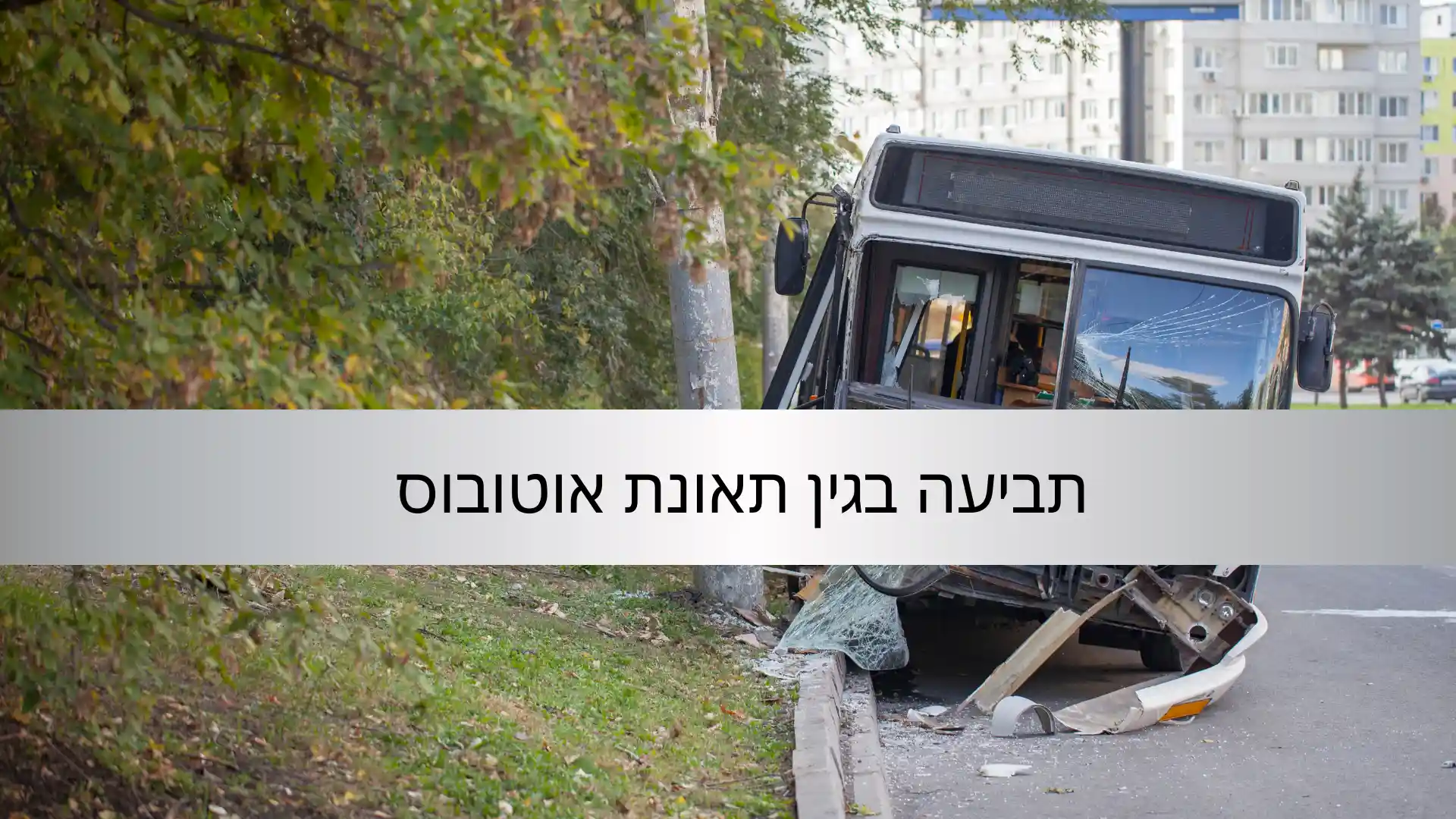 תביעה בגין תאונת אוטובוס - עורך דין דן דניאל שי